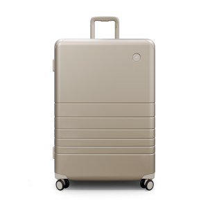 Hybrid Check-In Large